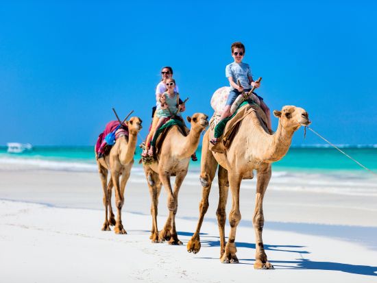 ラクダ乗り体験ツアー＜午前 or 午後／英語＞