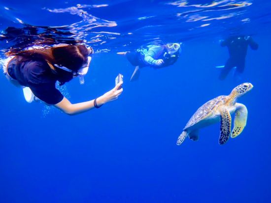 青の洞窟と星砂＋高遭遇率ウミガメシュノーケリング！ 少人数制＆初心者＆3歳～＆1名可！写真＋4K動画・器材・送迎無料＜当日予約13時まで／1日4便／竹富格安券＞