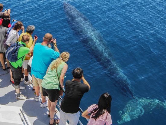 Whale and people 03-2