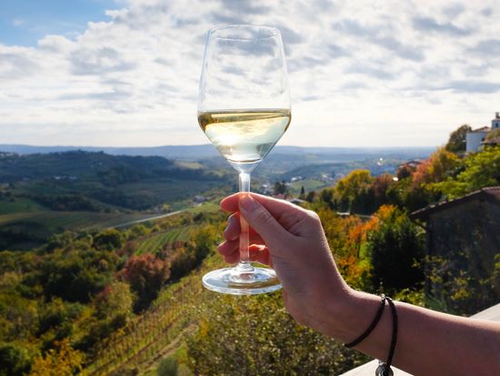 Slovenian wine_shutterstock_748144444