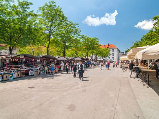 公認日本語ガイドが徹底解説！スロベニア首都 リュブリャナ旧市街観光ツアー＜貸切／約2時間／日本語ガイド／リュブリャナ発＞