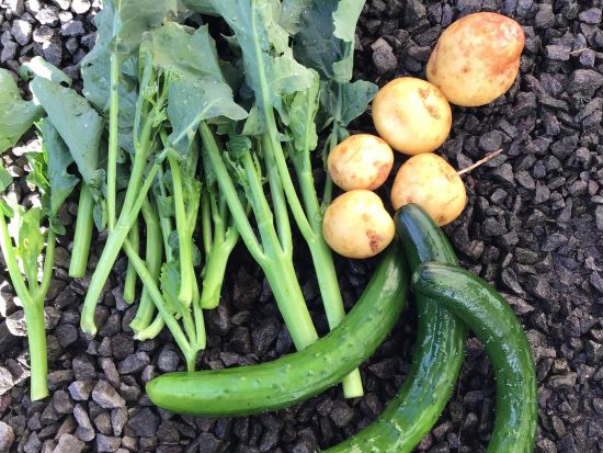 みなかみの大自然まるごと農泊体験 温泉、りんご狩りやスノーシューも体験できるプチトリップ ＜1泊～2泊／送迎付き＞ by民泊みくに亭