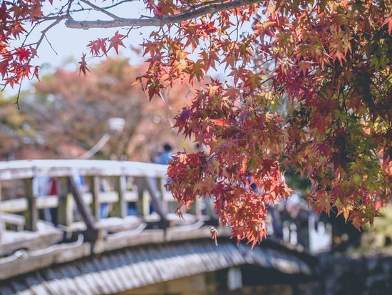 shutterstock_358652648