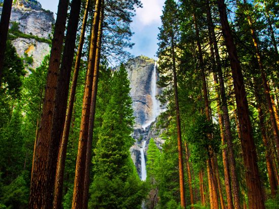 アメリカ3大自然遺産をめぐる周遊ツアー　イエローストーン＆グランドキャニオン＆ヨセミテ ＜5泊6日～／5～10月／日本語ガイド／ソルトレイクシティ発＞