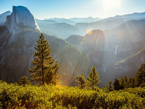 アメリカ3大自然遺産をめぐる周遊ツアー　イエローストーン＆グランドキャニオン＆ヨセミテ ＜5泊6日～／5～10月／日本語ガイド／ソルトレイクシティ発＞