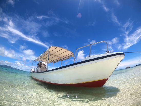 竭｢蟷ｻ縺ｮ蟲ｶ縺ｸ蜷代￠縺ｦ蜃ｺ闊ｪ