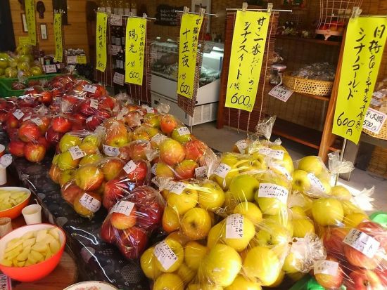 みなかみの大自然まるごと農泊体験 温泉、りんご狩りやスノーシューも体験できるプチトリップ ＜1泊～2泊／送迎付き＞ by民泊みくに亭