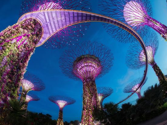 シンガポール夜景ツアー　ガーデンズ・バイ・ザ・ベイ＆マリーナ・ベイ・サンズの光と音のショー＋シンガポールフライヤー乗車 ＜日本語ガイド／夕食付き／往復送迎＞