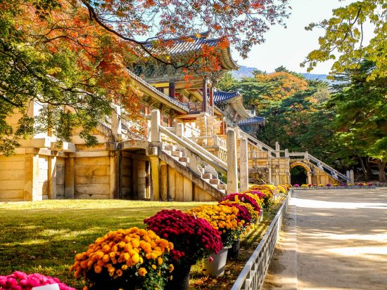 釜山発！慶州観光ツアー　3大世界遺産巡り　石窟庵と仏国寺＋瞻星台（歴史遺跡地区）＋良洞村　充実の凝縮プラン　韓定食ランチ＜1日／日本語ガイド／ホテル送迎付＞