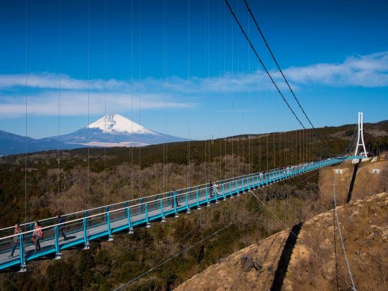 貸切観光タクシー　三嶋大社＋柿田川湧水＋沼津御用邸＋千本浜公園＋楽寿園　三島スカイウォーク訪問付きプランあり＜1～9名／三島・伊豆長岡・沼津市内送迎付＞