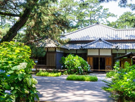 貸切観光タクシー　三嶋大社＋柿田川湧水＋沼津御用邸＋千本浜公園＋楽寿園　三島スカイウォーク訪問付きプランあり＜1～9名／三島・伊豆長岡・沼津市内送迎付＞