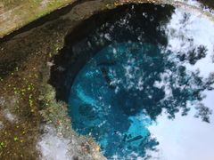 Japan_Shizuoka_Kakita River Springs_shutterstock_566572567