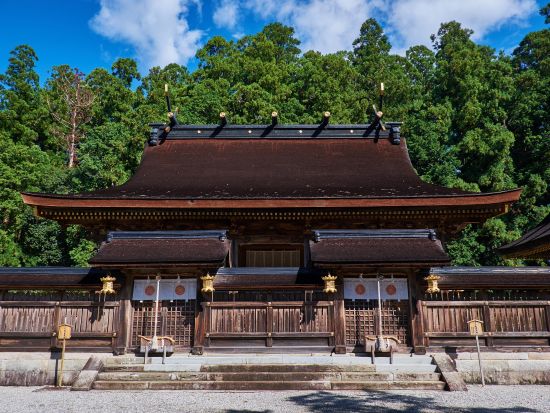 大阪発 日帰りバスツアー 熊野三山巡り 日本三大名滝の1つ「那智の大滝」の絶景も！熊野牛の昼食付＜JR新大阪駅発＞