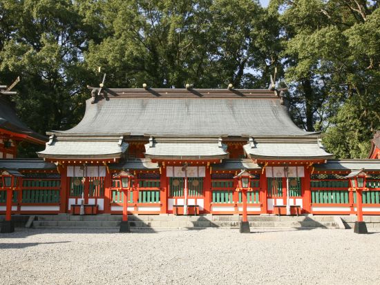 大阪発 日帰りバスツアー 熊野三山巡り 日本三大名滝の1つ「那智の大滝」の絶景も！熊野牛の昼食付＜JR新大阪駅発＞