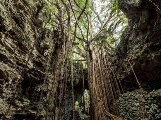 ガンガラーの谷ウォーキングツアー イナグ洞・イキガ洞・武芸洞など専任ガイドがご案内！＜南城市＞