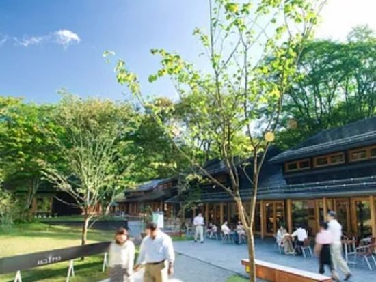 【貸切】ローカルドライバーが軽井沢の定番スポットを専用車でご案内！＜5時間 or 2.5時間／ガイド付／軽井沢町＞