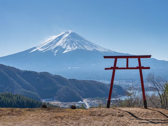 shutterstock_1614629218