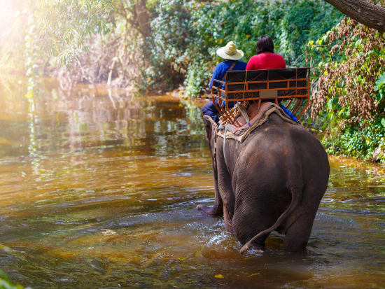 Thailand_Generic Photos_Animal_Elephant trekking_shutterstock_382213540