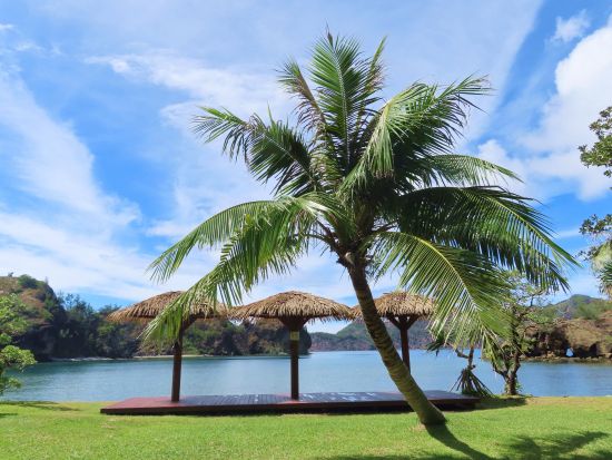 父島 島内観光ツアー 半日で楽しむ絶景ウォーキングツアー 午後プランは入島日の参加OK＜父島内送迎付／小笠原諸島・父島発＞by 小笠原ボニネンシストラベル