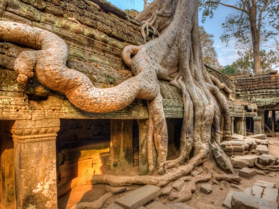 Cambodia_Siem Reap_Angkor_Ta Prohm_shutterstock_133249385