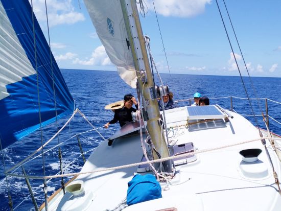 セーリング体験 風の力を感じながら自分で操船を経験！＜午前or午後／送迎付き／小笠原諸島・父島発＞by 小笠原ボニネンシストラベル