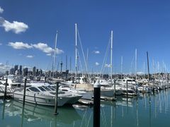 IMG_8741
