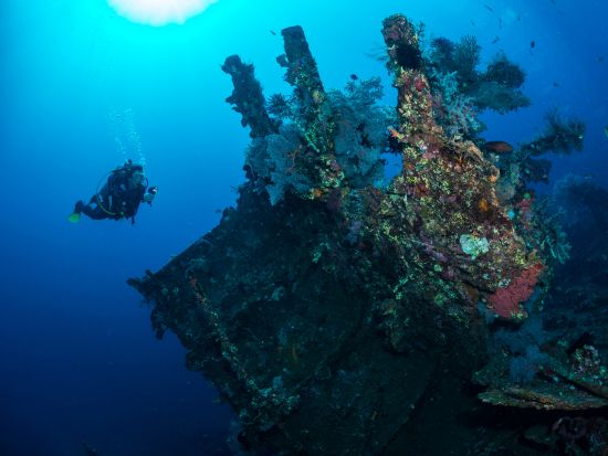 体験ダイビング 沈船と魚の宝庫トランベンまたは手軽に楽しめるサヌールへ プール講習付きで安心＜ビーチ or ボート／1～2ダイブ＞by ブルーシーズン・バリ