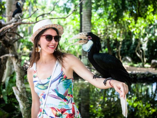 【貸切】世界中の鳥と出会おう！バリ・バードパーク＋世界遺産タマン・アユン寺院＋タナロット寺院の夕日観賞＜午後／日本語ガイド＞