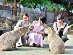 img_izu_shaboten001_735_480