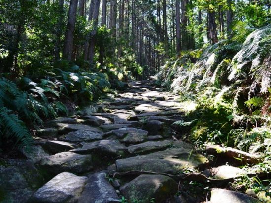 平安衣装体験　世界遺産・熊野古道で自由に撮影　1時間以内で気軽に体験可能＜田辺市＞