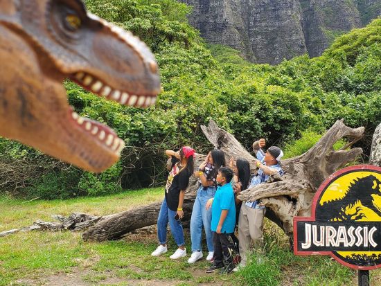 クアロア・ランチ　TVと映画のロケ地巡りツアー＜1時間半または2時間半／送迎付きプランあり＞