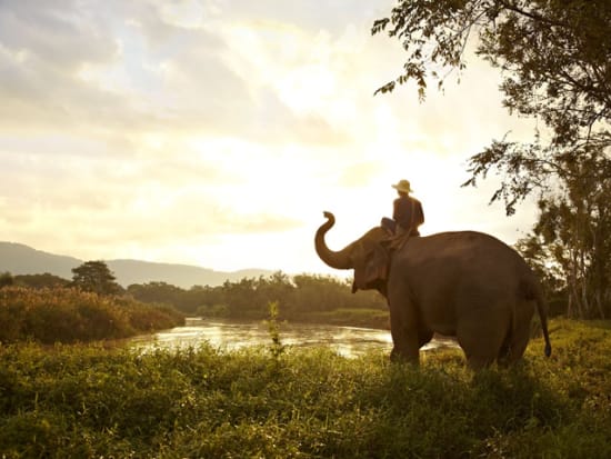 Elephant_and_Mahout_S