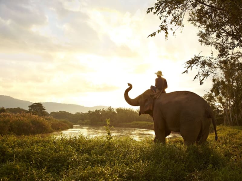 Elephant_and_Mahout_S