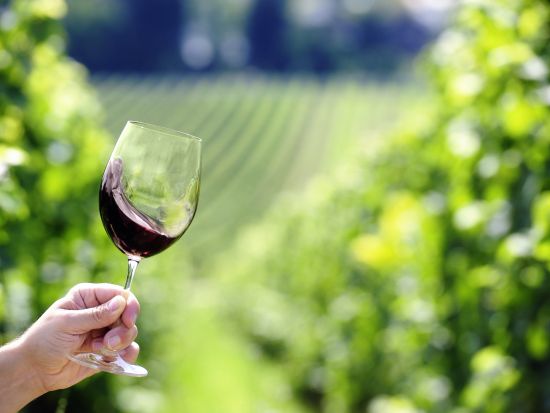 オレゴン州ワイナリー　ピノ・ノワールの銘醸地で2軒のワイナリー巡りとポートランドのワインバー ＜試飲付き／日本語ガイド＞