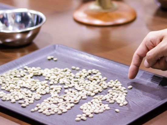 コーヒー焙煎体験　新橋開催！グアテマラの生豆を使って本格焙煎体験♪手ぶらで気軽に参加OK＜土日催行あり／新橋駅徒歩2分＞ by ぼくらの焙煎工房