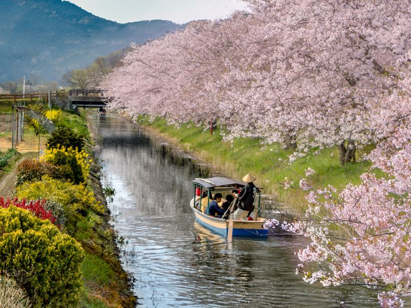 shutterstock_718405963