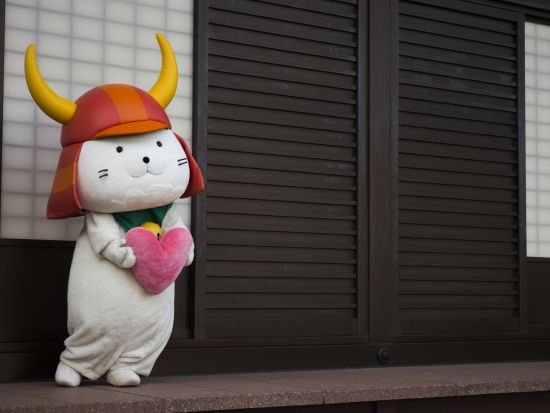 貸切観光タクシー よくばり滋賀観光 彦根城＋近江八幡の水郷めぐり＋黒壁スクエア＜8時間／1～9名／大津市内発・米原市内着＞by 滋賀ヤサカ自動車