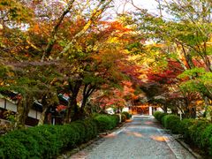 Shiga_Otsu_Saikyouji_shutterstock_1376485787