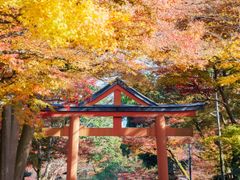 Shiga_Otsu_Hiyoshitaisha-shutterstock_771588007