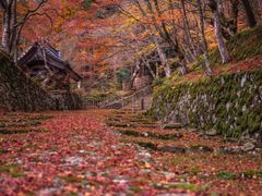 shutterstock_1586093086