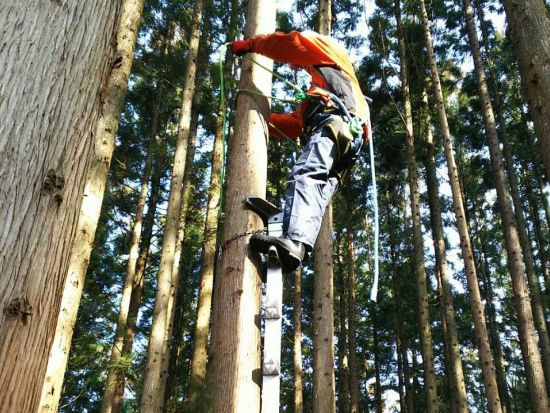 みなかみの山で大冒険！おじいちゃんの山で林業や農作業も体験できる農泊 ＜1泊2食付き／送迎付き＞ by 農家民宿 山信