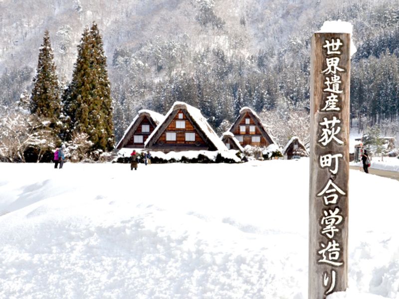 0db027b2d04d79462f769a9e935c0b0e