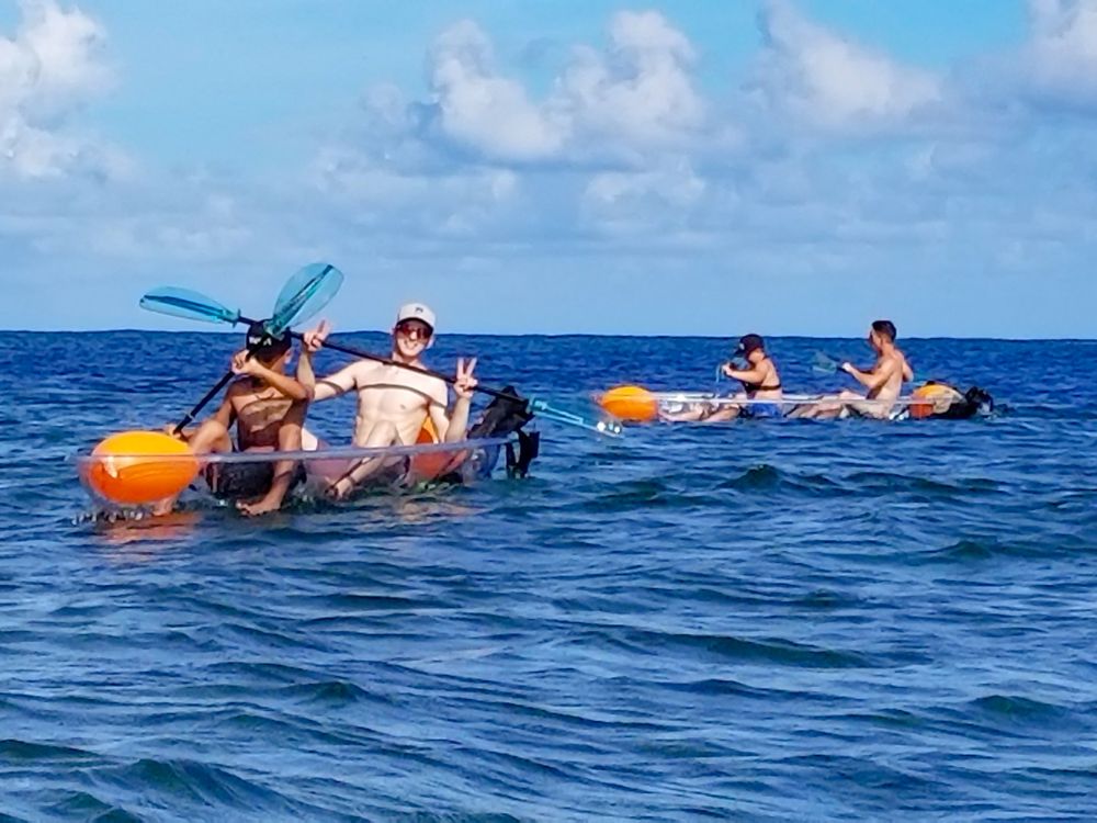 North Shore Clear Bottom Kayak Tour & Turtle Watch from Haleiwa Beach