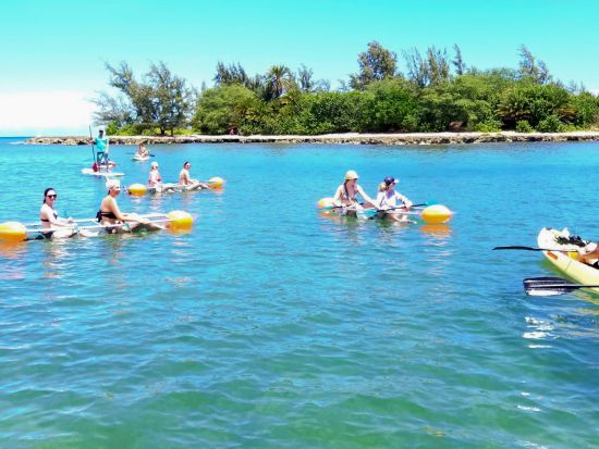 クリアカヤック体験　ノースショア（ハレイワ）でウミガメウォッチング＆シュノーケリング＜2時間＞byシー＆ボードスポーツハワイ