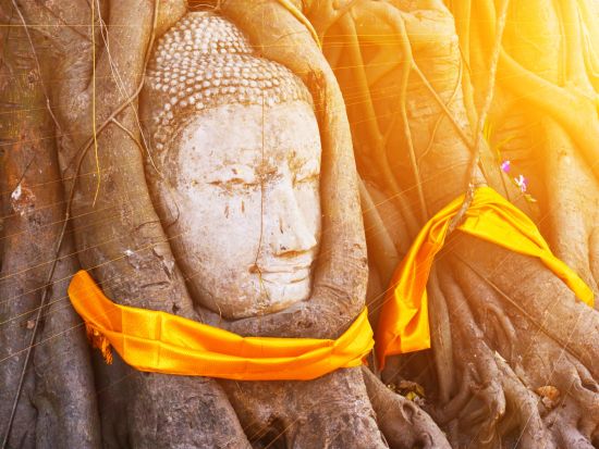 人気スポットを巡る1日観光ツアー！アユタヤ遺跡＋バンコク3大寺院＋映え寺院 ワットパクナム　民族衣装撮影＆ゾウ乗り体験可＜1日／日本語／ランチ／送迎＞