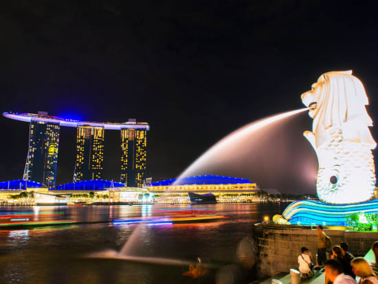 シンガポール1日観光ツアー マリーナベイ サンズ展望台 夜のマーライオン 2つの光のショー 夜景クルーズ 日本語 選べるチキンライスランチ チリクラブディナー シンガポールの観光 オプショナルツアー専門 Veltra ベルトラ