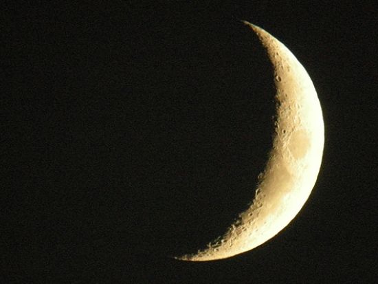 知床ナイトスノーシューツアー 静まり返った夜の森と無数の星々…幻想世界で雪灯りハイキング＜90分／1～3月／ウトロ地区送迎付／斜里町＞by知床ネイチャーオフィス