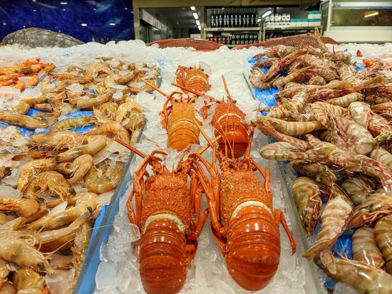 16038C46-A471-4DB2-BA64-BFBA3A5AA267