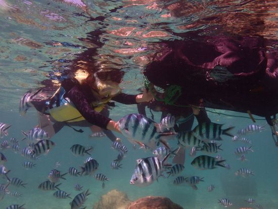 【ベストプライス】青の洞窟 シュノーケリング　グループ専属の貸切ガイドがご案内！当日15時まで受付＜ボート／ショップ設備利用可／恩納村発＞