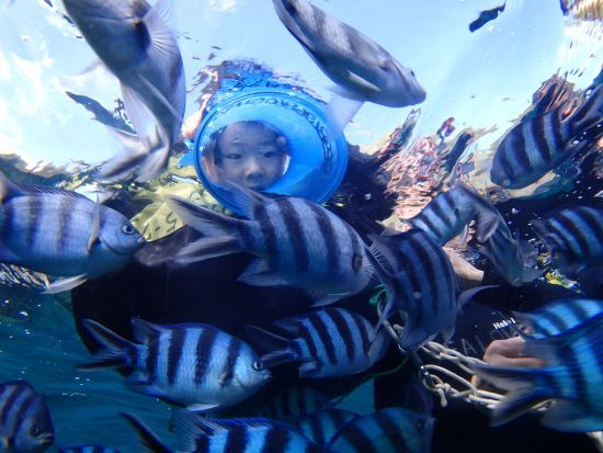 【ベストプライス】青の洞窟 シュノーケリング　グループ専属の貸切ガイドがご案内！当日15時まで受付＜ボート／ショップ設備利用可／恩納村発＞